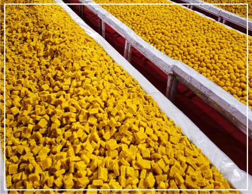 Huge Bhandara